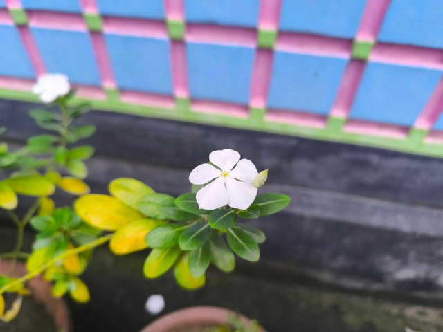 IMG_20250526_181218.jpg