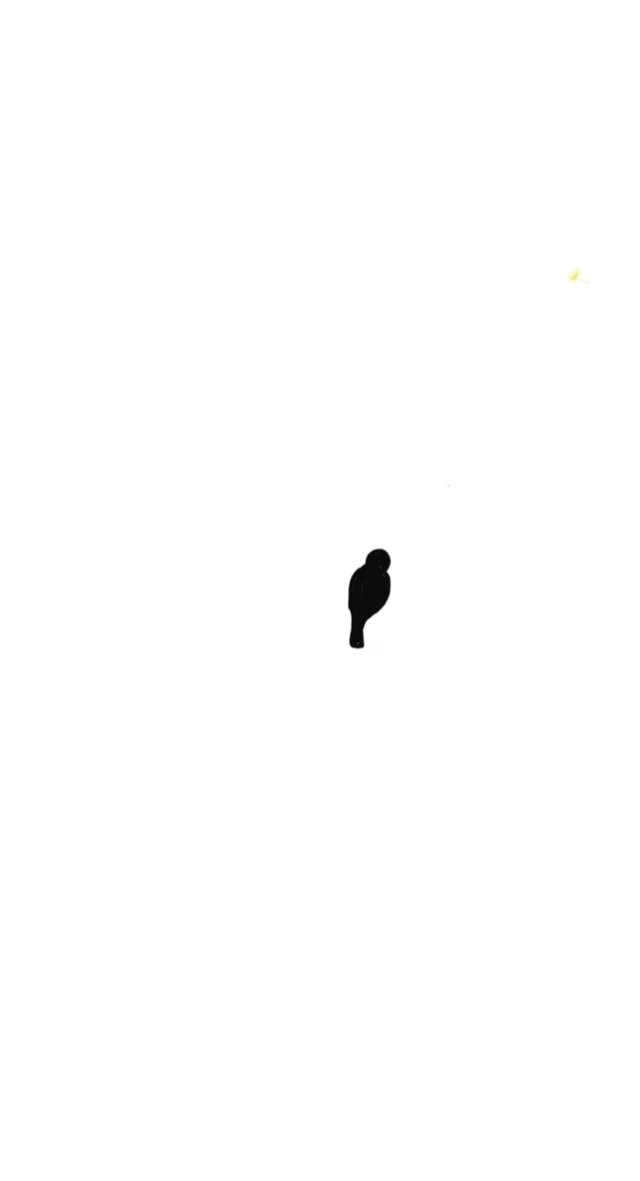 1753842827555.jpg