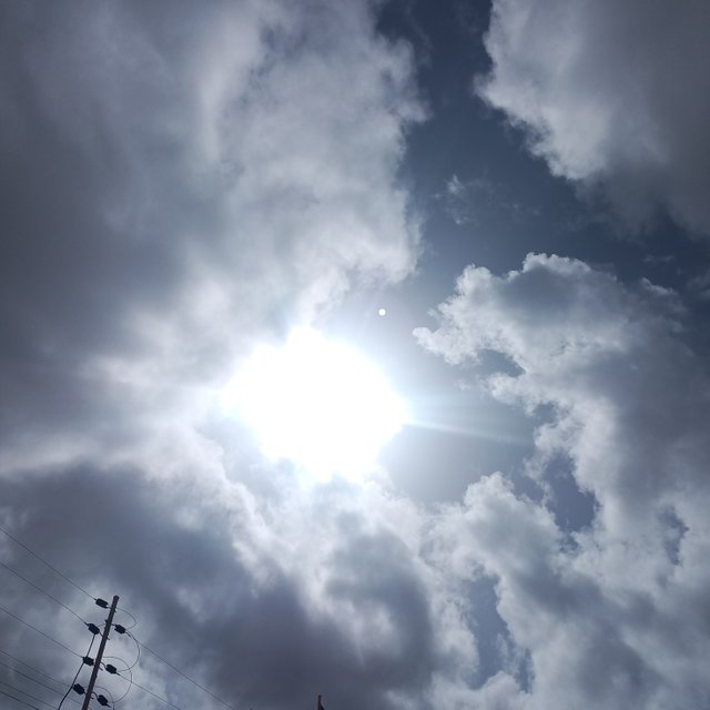 IMG_20250616_081844_640.jpg