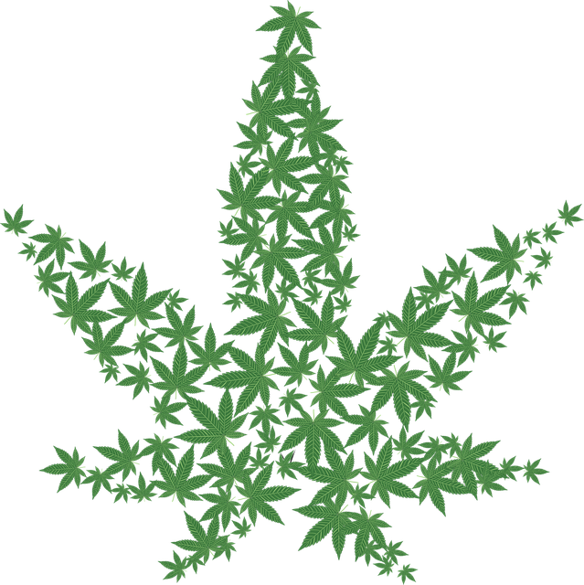 cannabis-2125586_640.png