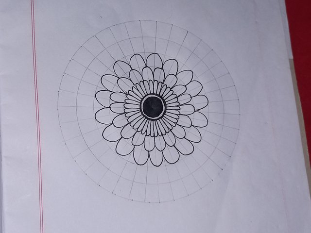 20250601_231722.jpg