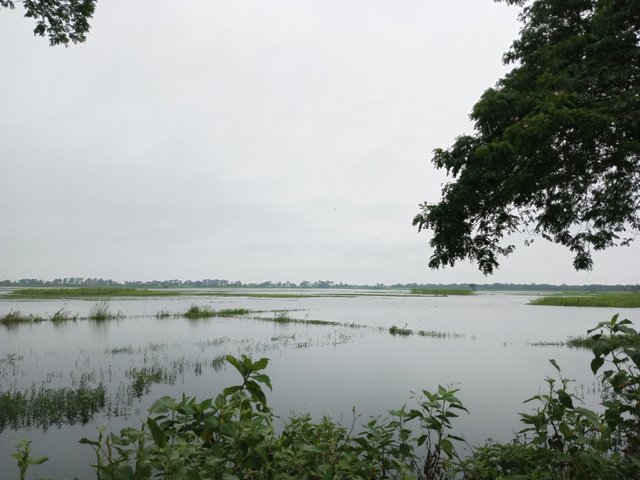 IMG_20250804_062441_280.jpg