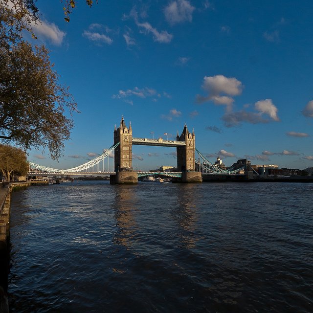 6976433550-londontower-bridge (FILEminimizer).jpg