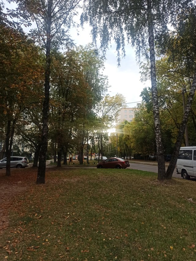 IMG_20250917_180030.jpg