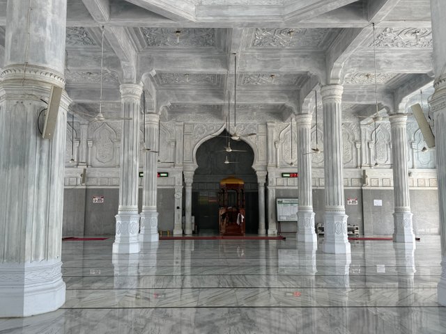 IMG_1544.jpeg