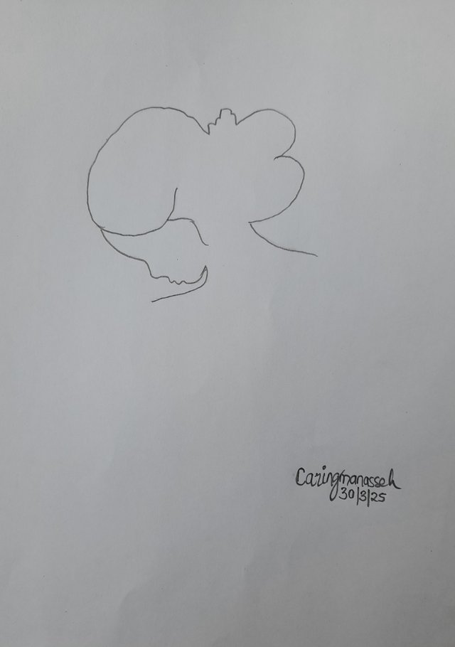 20250330_152249.jpg