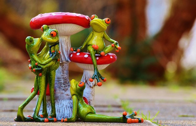 frogs-1175794_1280.jpg