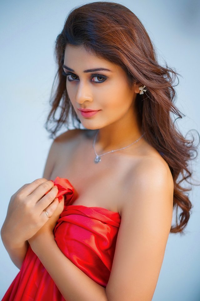 Actress Payal Rajput Hot Photoshoot 1558751.jpg