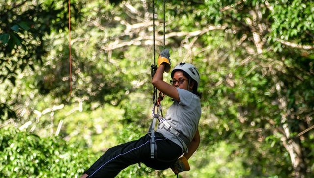 DSC_0342 crop.jpg