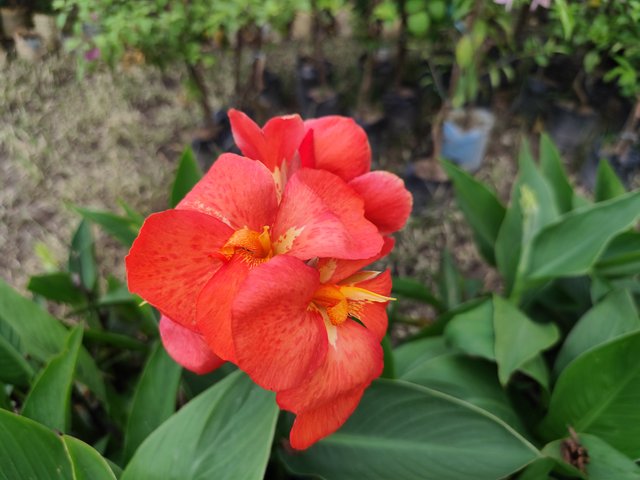 IMG_20250714_182322.jpg