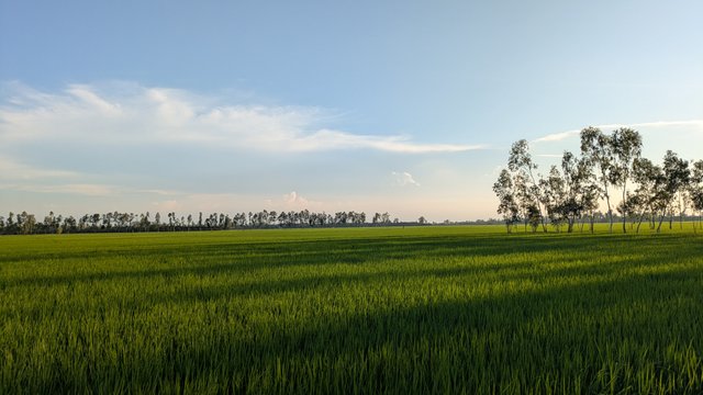 627.jpg