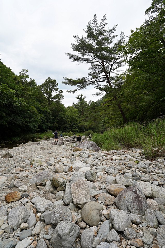 b-DSC00155.JPG