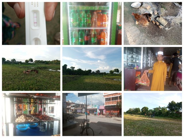 Collage_20250816_213920.jpg