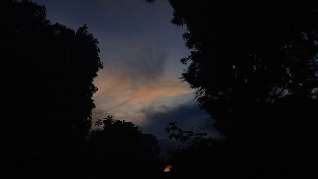 20231014_181052.jpg