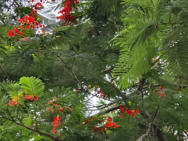 20240626_181539.jpg