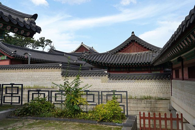 b-DSC00823.JPG