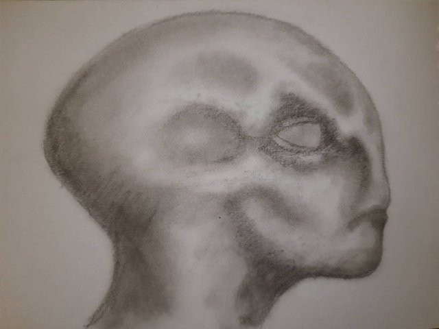 20250825_110608.jpg
