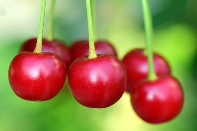 cherries-3477927_1280.jpg