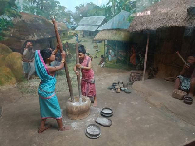 IMG20250312132504.jpg