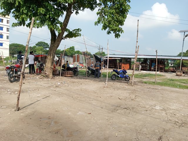 IMG_20240918_101718_745.jpg