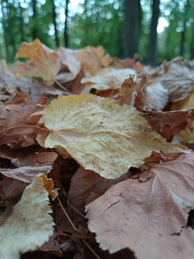 20250926_183144.jpg