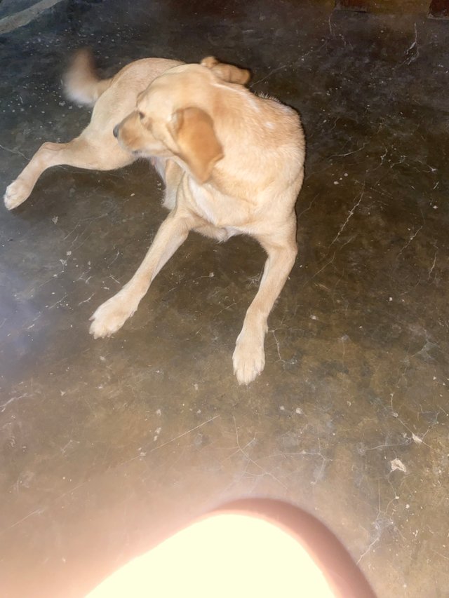 image.jpeg