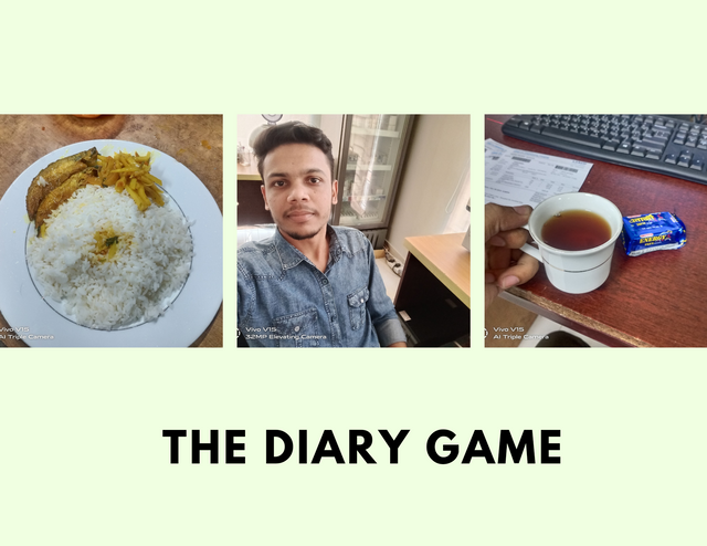 the Diary Game_20241230_020621_0000.png