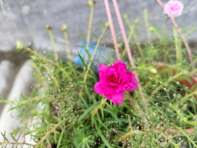 IMG_20250619_121742_1.jpg