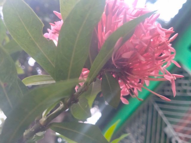 IMG20250726152222.jp