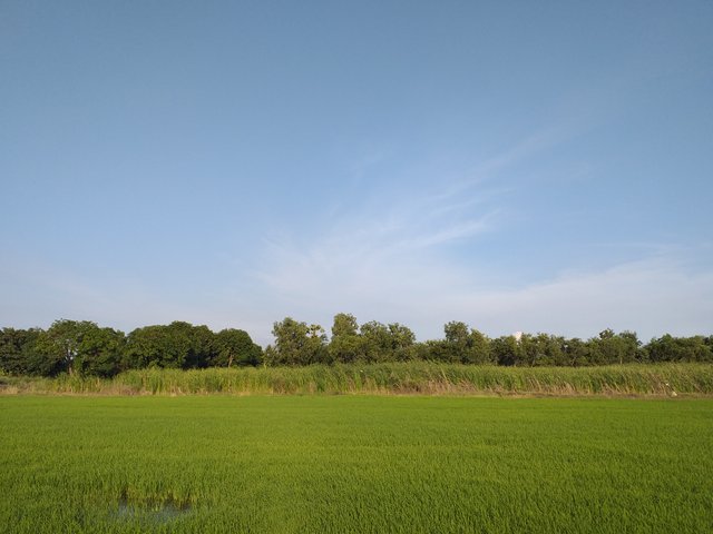 countryside view8.jpg