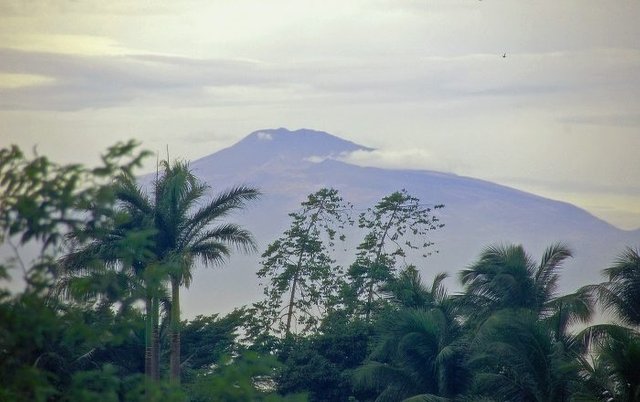 1-Mount-Cameroon-700x440.jpg