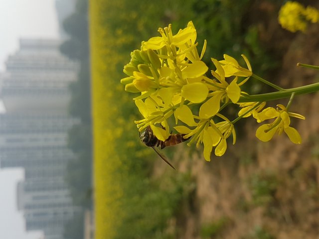 20181223_124932.jpg