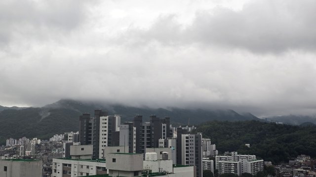 1000130467.jpg
