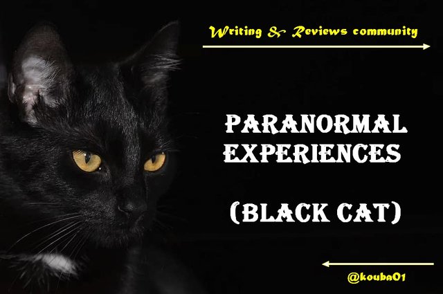 cat-black-background-cat-eyes-eyes-domestic-cat-animal-black-cat-black-golden-eyes.jpg