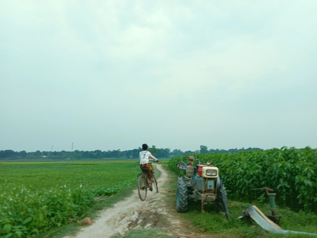 IMG_20250513_202118.jpg