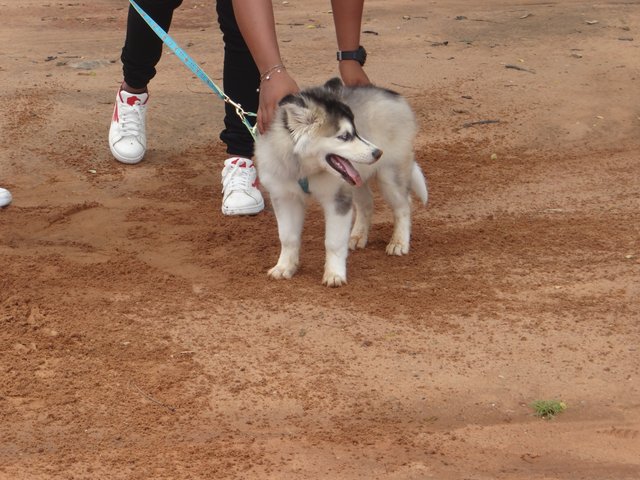 DSC02523.JPG
