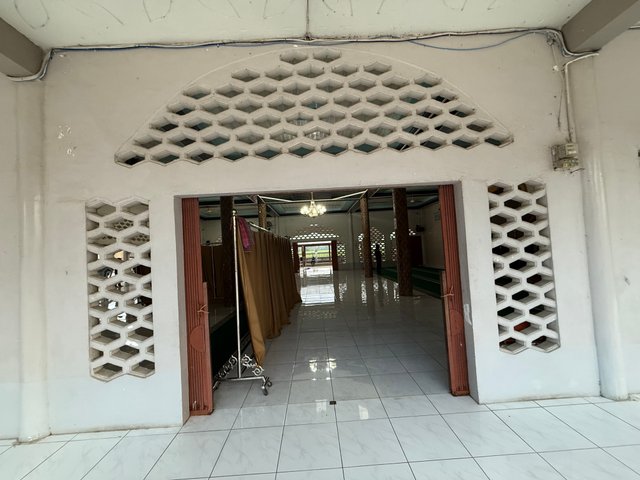IMG_2281.jpeg