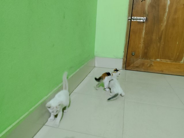 1000013217.jpg