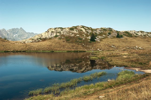 _DSC0950.jpg