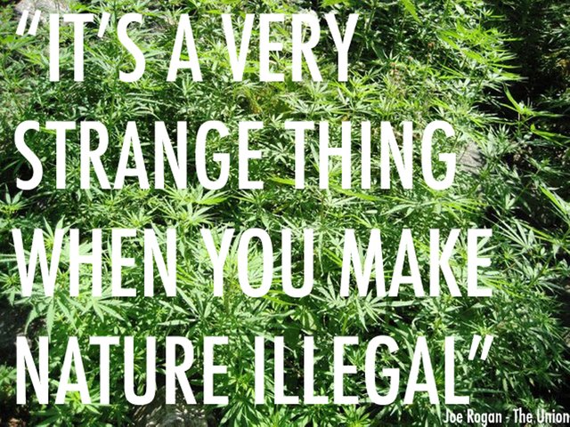 naturemarijuana.jpg