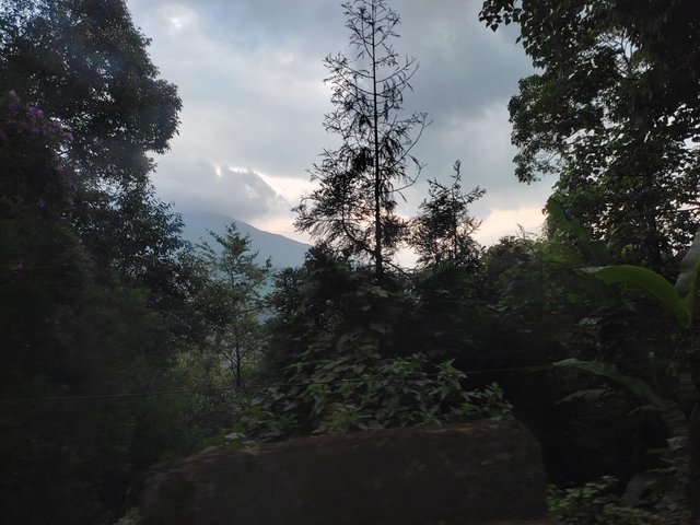IMG_20250612_152846.jpg
