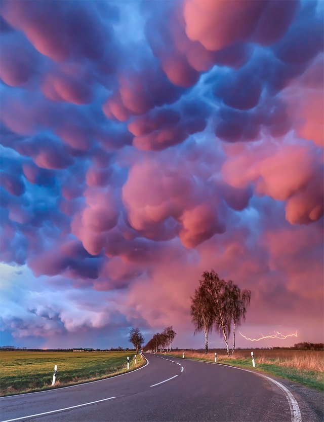 weatheraward-fubiz-7.jpg