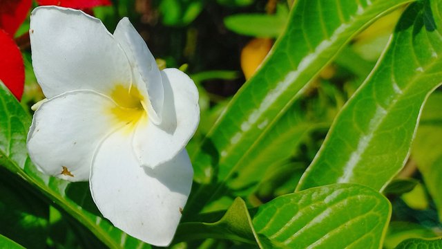 20221026_114215.jpg