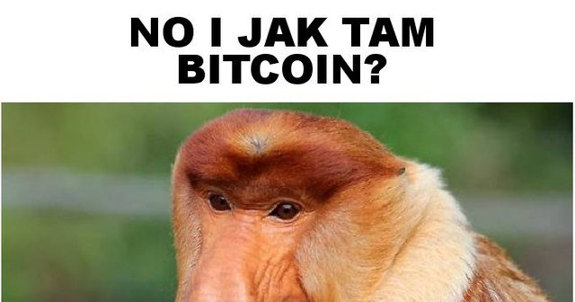 no-i-jak-tam-bitcoin_2017-12-14_14-30-35.jpg