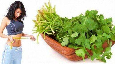 coriander_1619583272.jpg