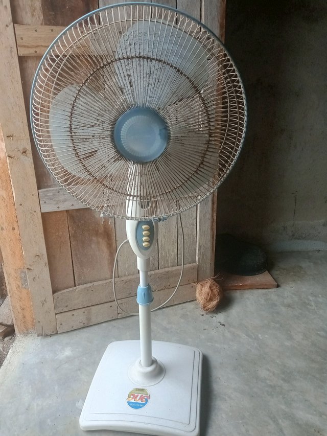 1000004041.jpg