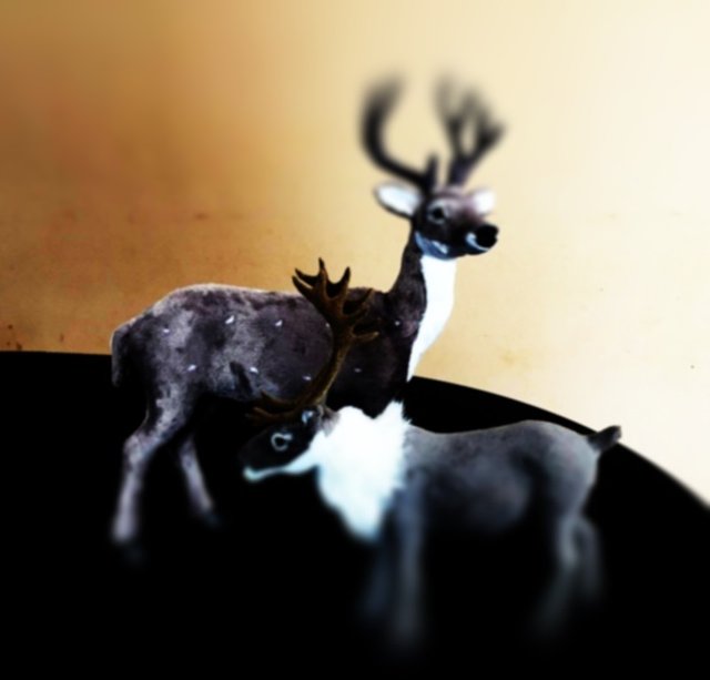 IMG2324fragnegativeart1.jpg