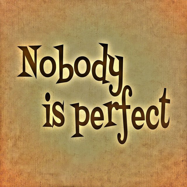 nobody-is-perfect-688370_1280.jpg