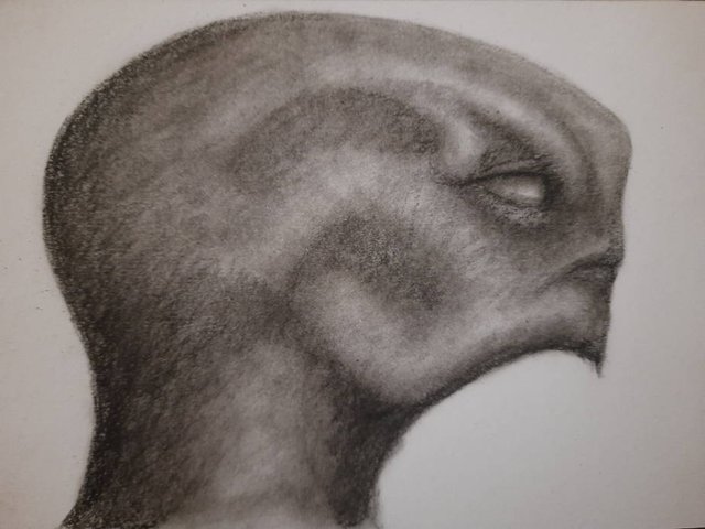 20250910_130143.jpg