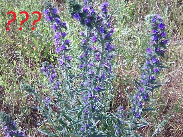 Photo0072.jpg
